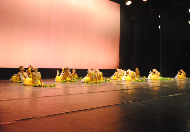 2013中国舞蹈家协会第193届少儿舞蹈大赛2013年6月参加中国舞蹈家协会第193届少儿舞蹈大赛幼儿舞蹈《花之舞》荣获铜奖 (2)