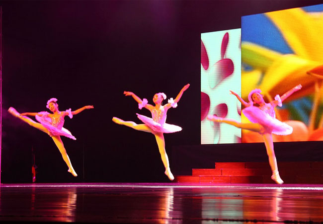 2011少儿芭蕾舞通话剧《十二个月》春暖花开1