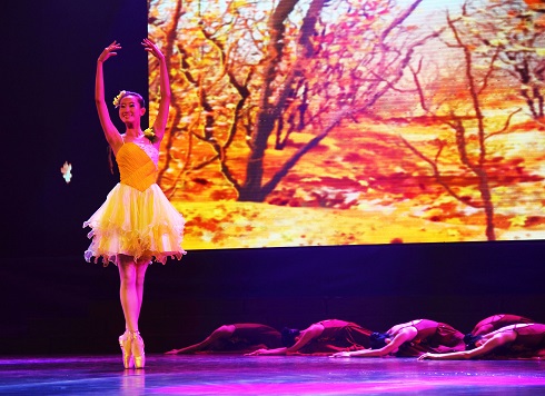 2011少儿芭蕾舞通话剧《十二个月》清风落叶2